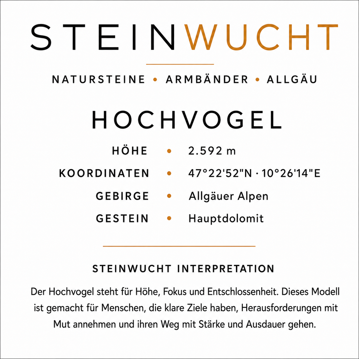 STEINWUCHT · PEAK – HOCHVOGEL
